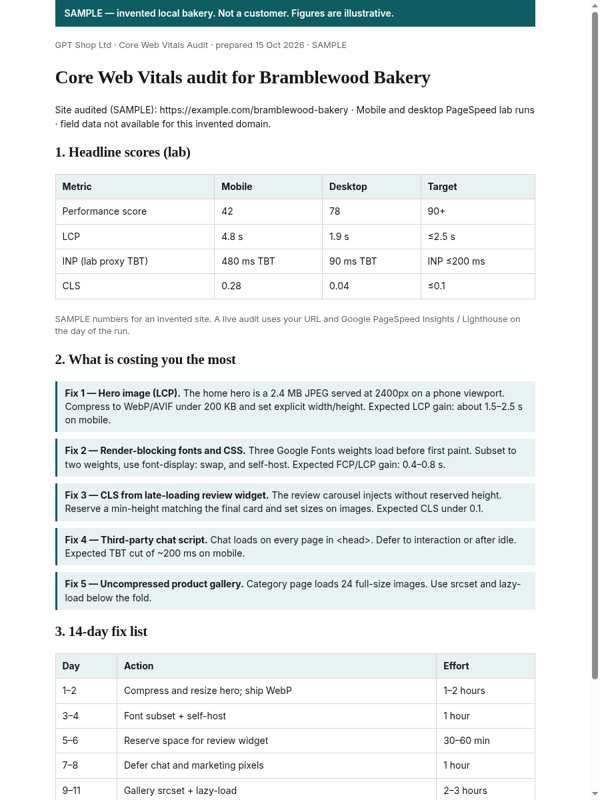 SAMPLE Core Web Vitals audit page